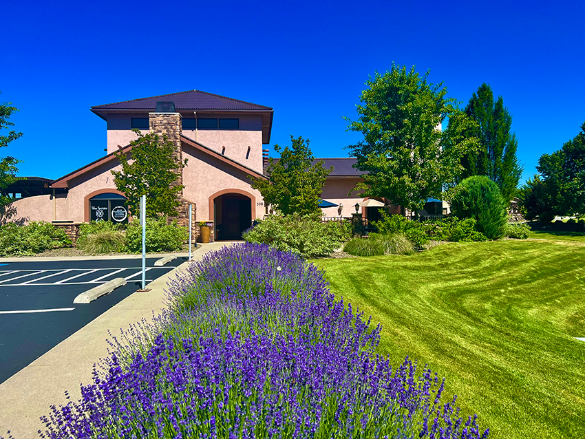 Brown concrete building with purple flowers and freshly mowed lawn on the right