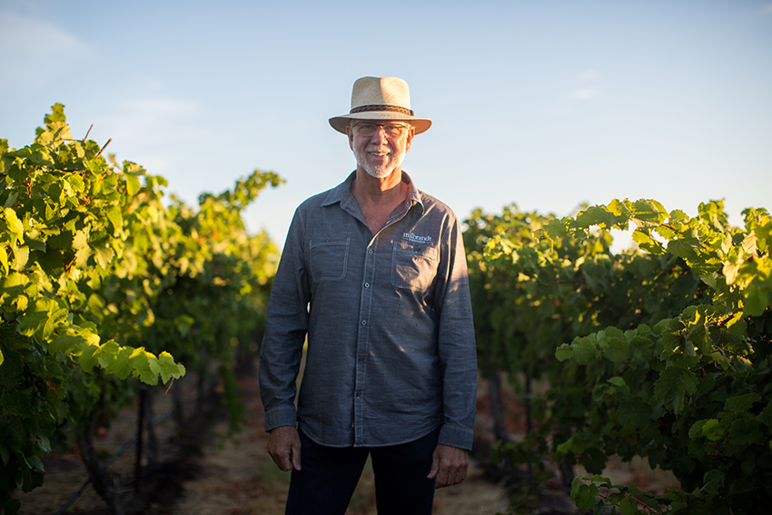 Man with hat on and blue shirt standing in front of tall grapevines